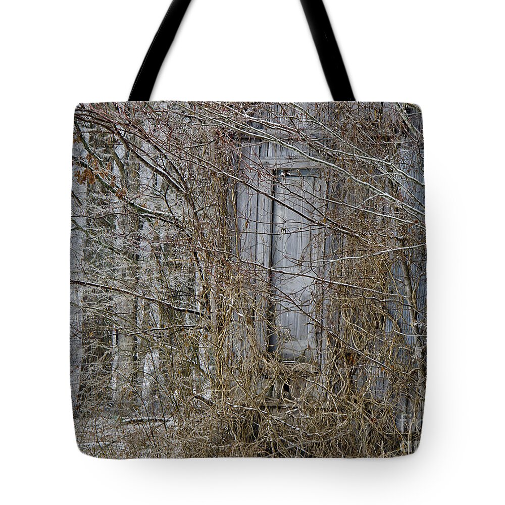 Abandoned Tote Bag featuring the photograph The Door To The Past by Wilma Birdwell
