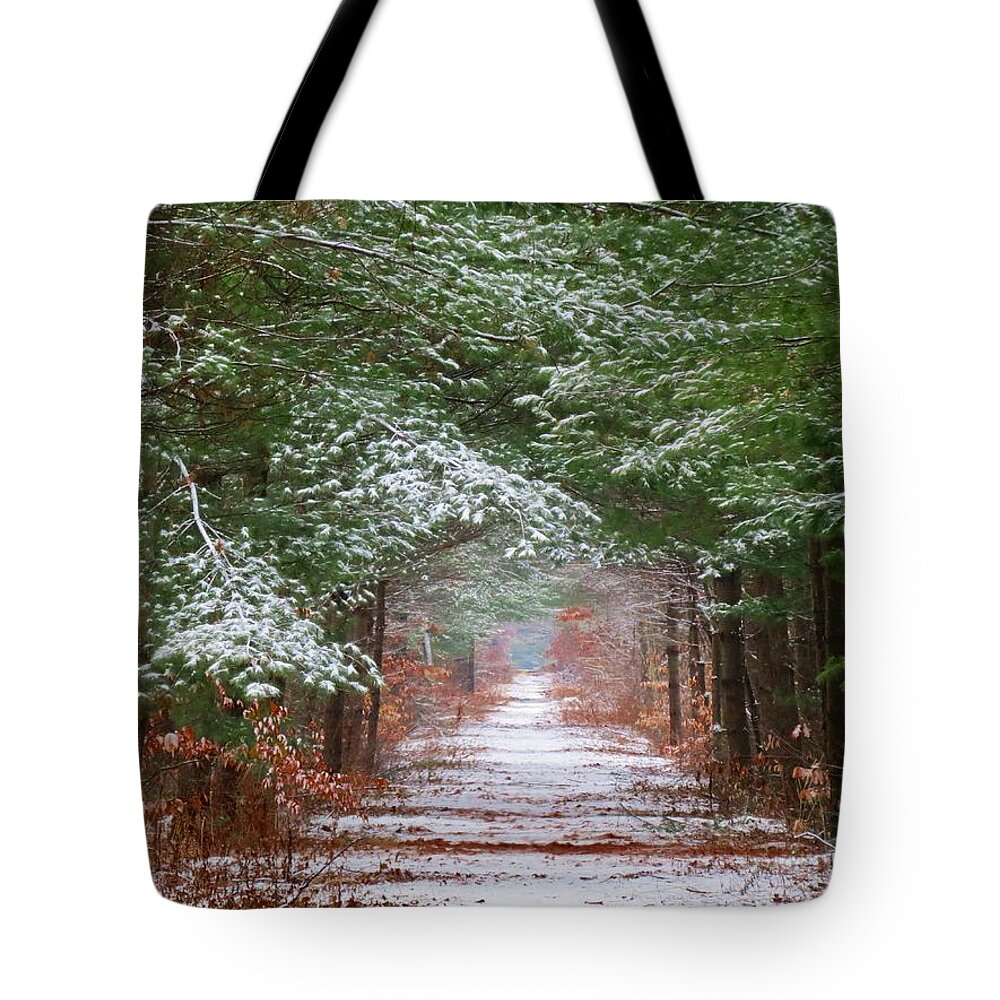 Trail Tote Bag featuring the photograph The Dusted Trail by MTBobbins Photography