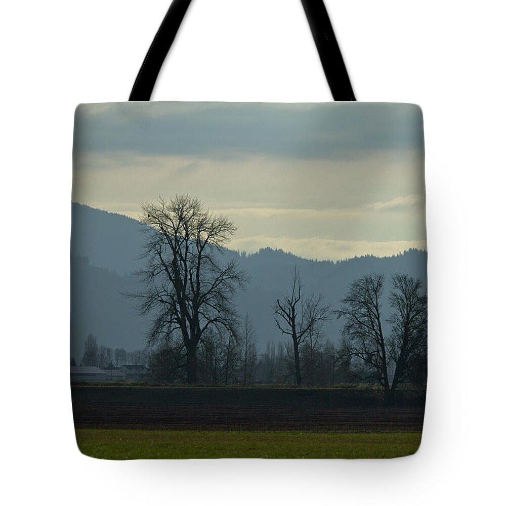 Tree Tote Bag featuring the photograph The eagle tree by Eti Reid