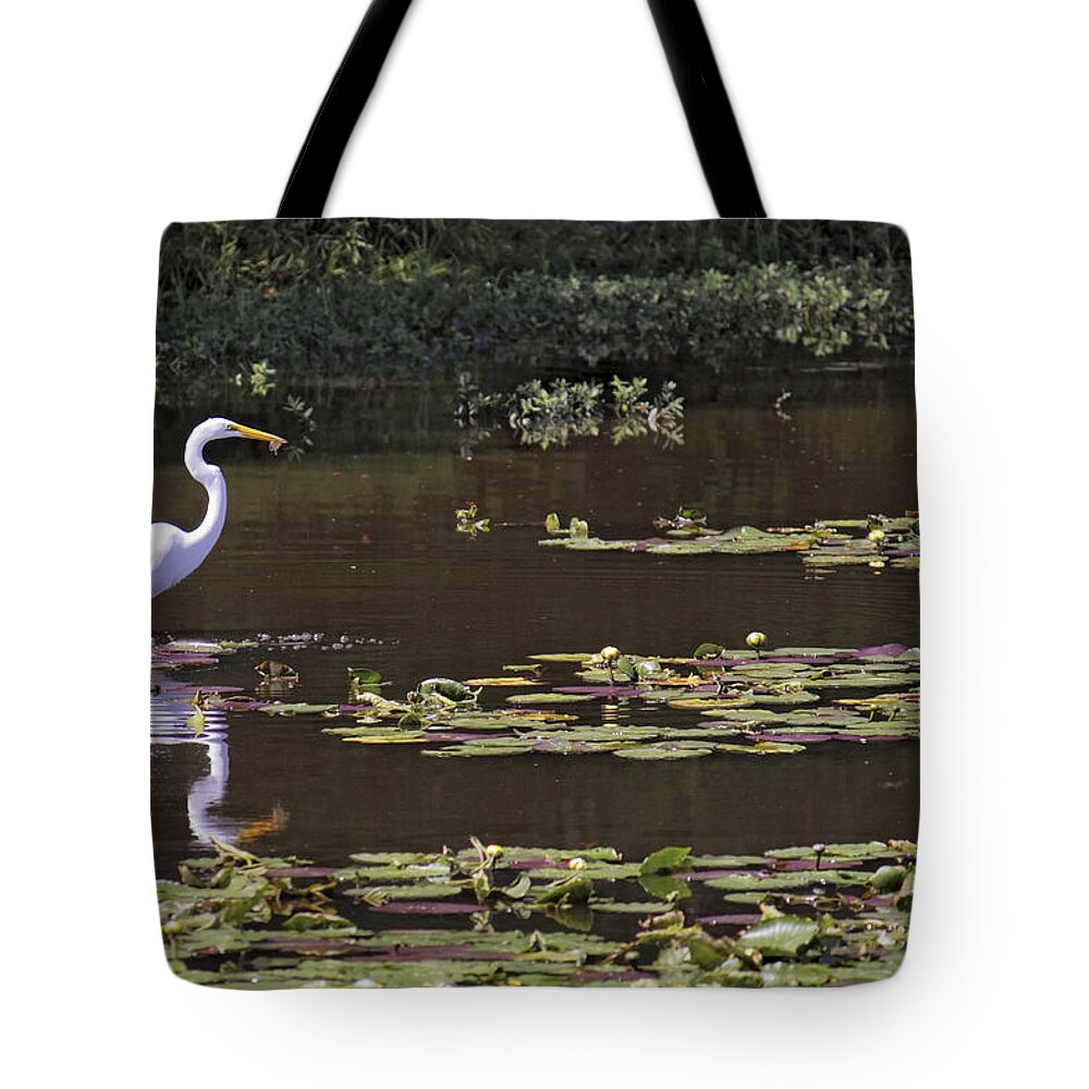Egret Tote Bag featuring the photograph The Egret Hunter by Jason Politte