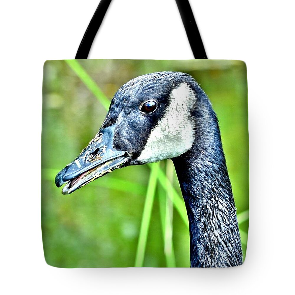 Bird Tote Bag featuring the photograph The Eye of the Goose by Kim Bemis