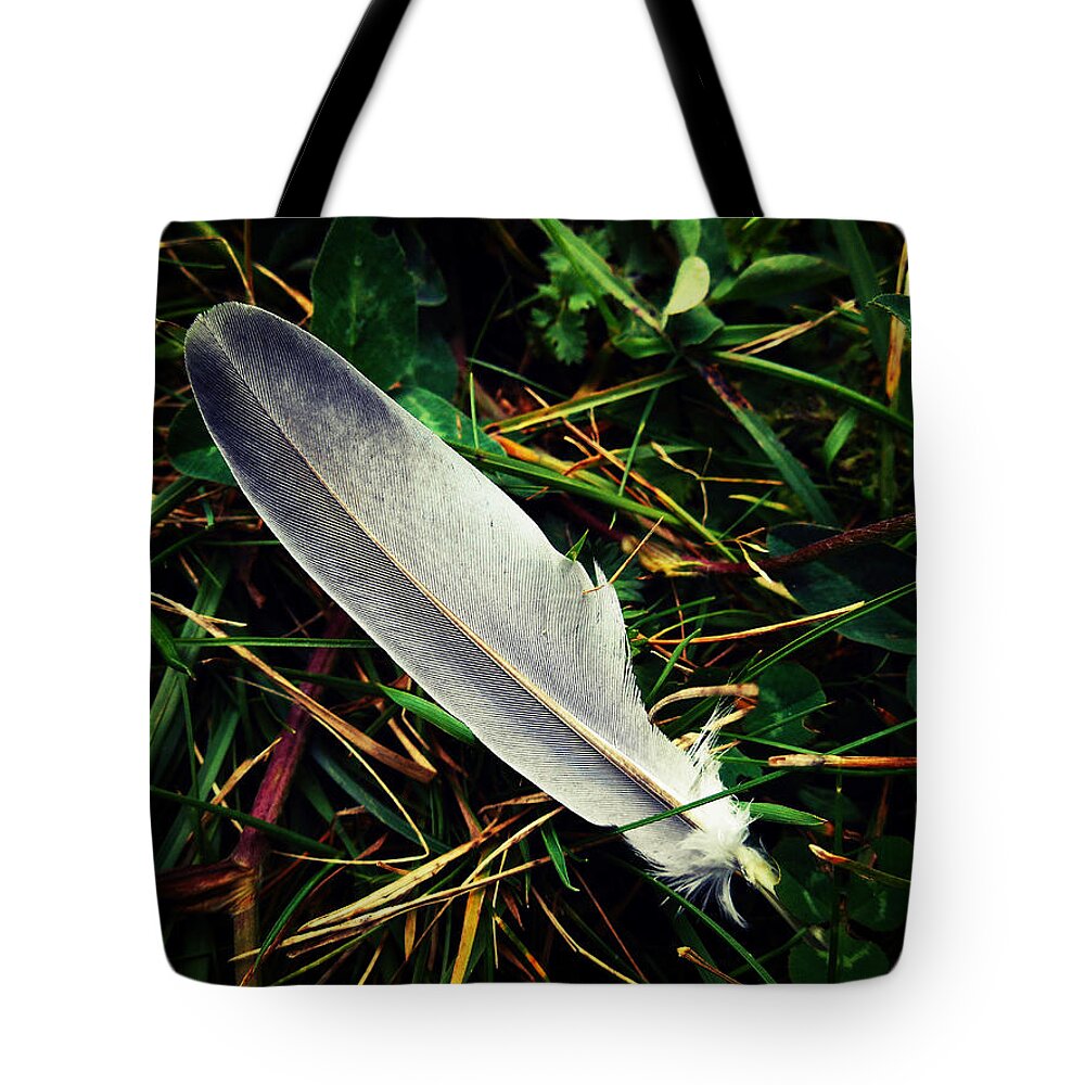 Fallen Tote Bag featuring the photograph The Fallen Feather by Zinvolle Art