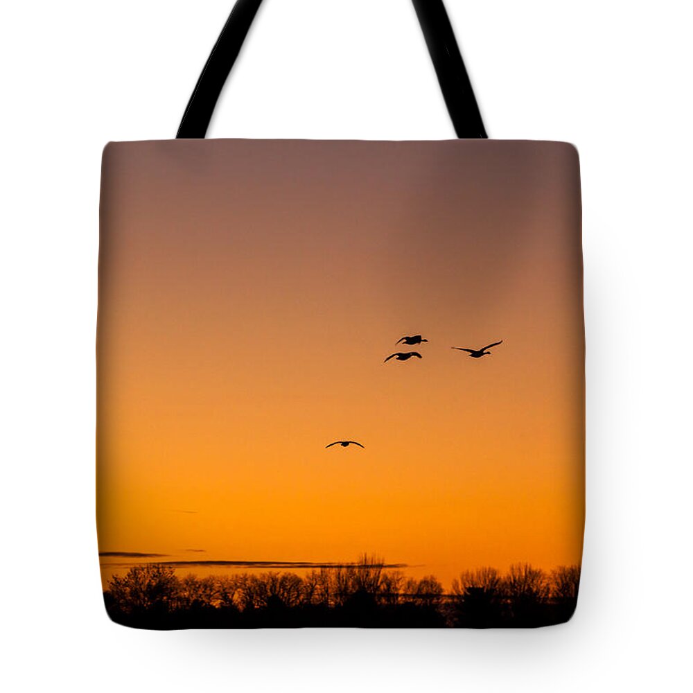Goose Tote Bag featuring the photograph The Flock Grows by Thomas Sellberg
