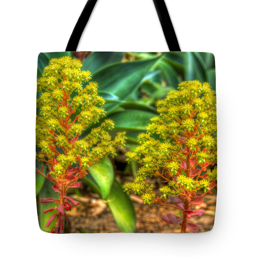 Flower Tote Bag featuring the photograph The Flower 4 by Richard J Cassato