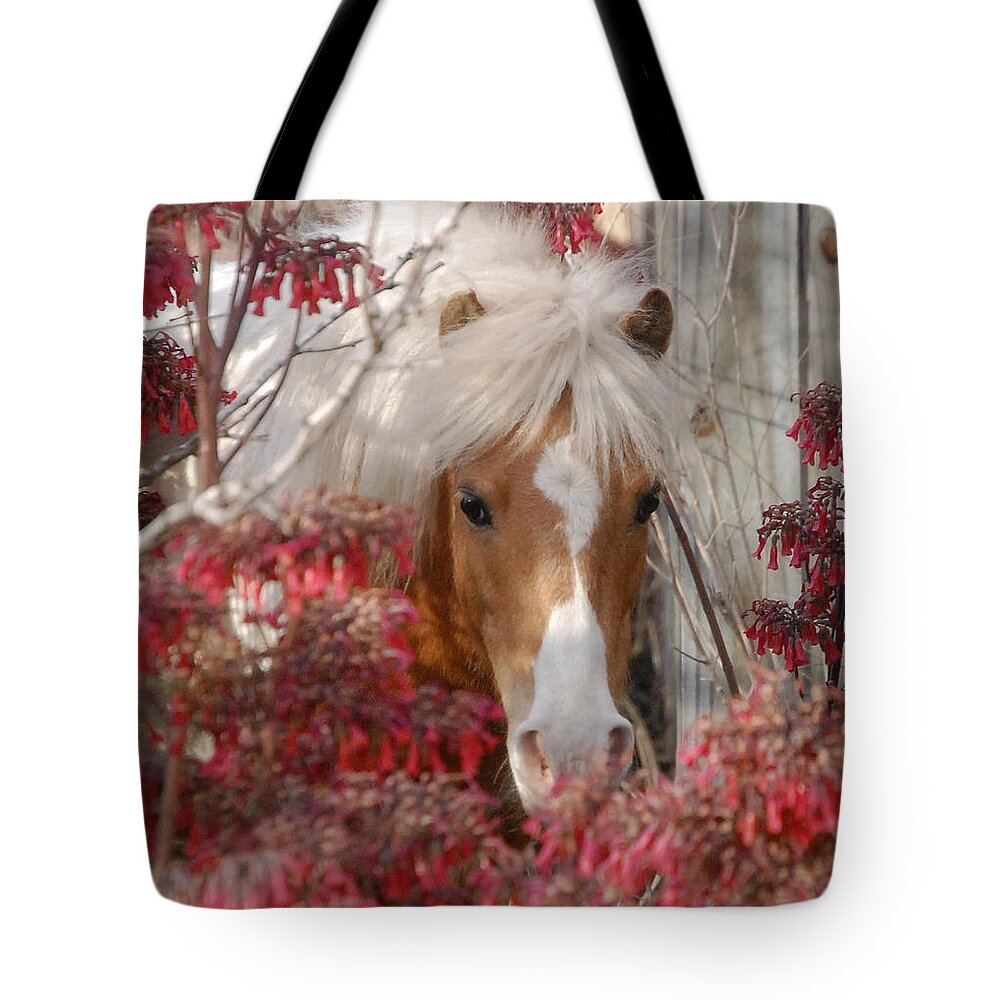 Frame Tote Bag featuring the photograph The Frame by Leticia Latocki