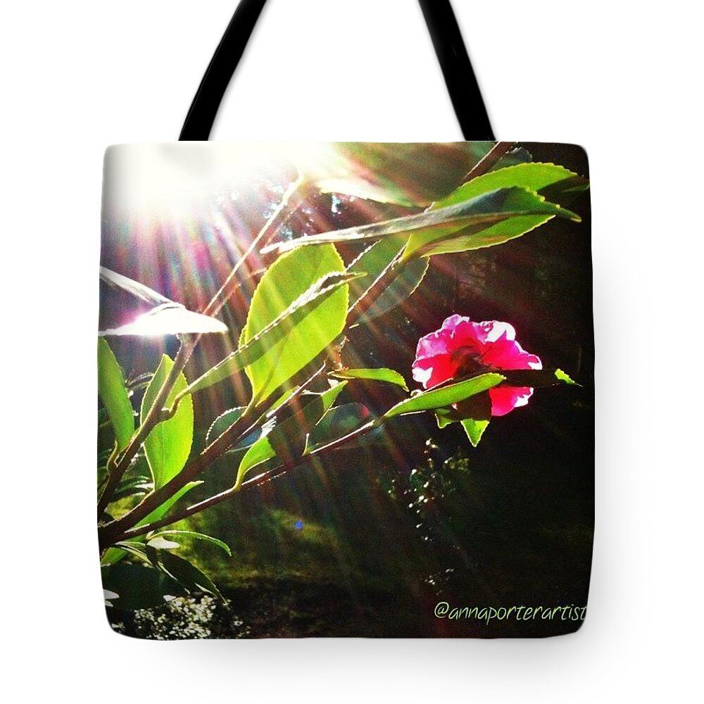 Instanaturelover Tote Bag featuring the photograph The Gift Of Sunshine #sun #flare by Anna Porter