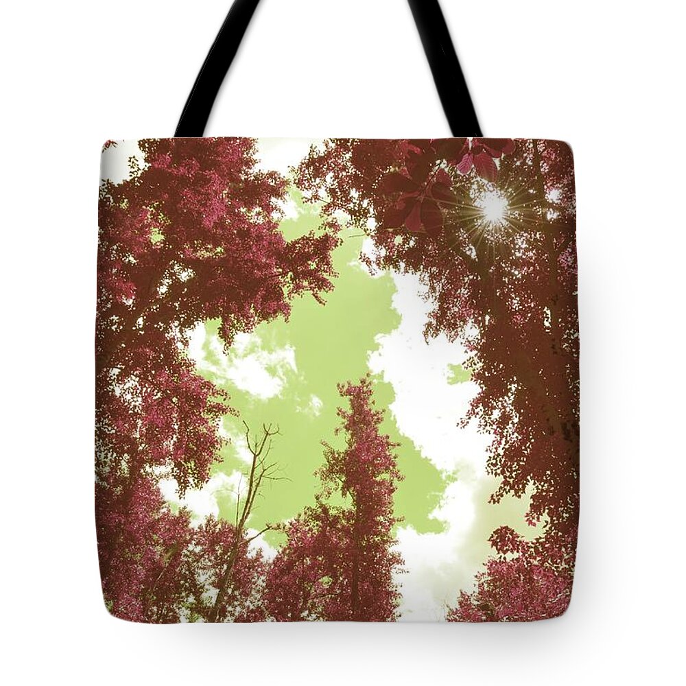 Pink Trees Tote Bag featuring the photograph The Glimpse Sublime by Laureen Murtha Menzl