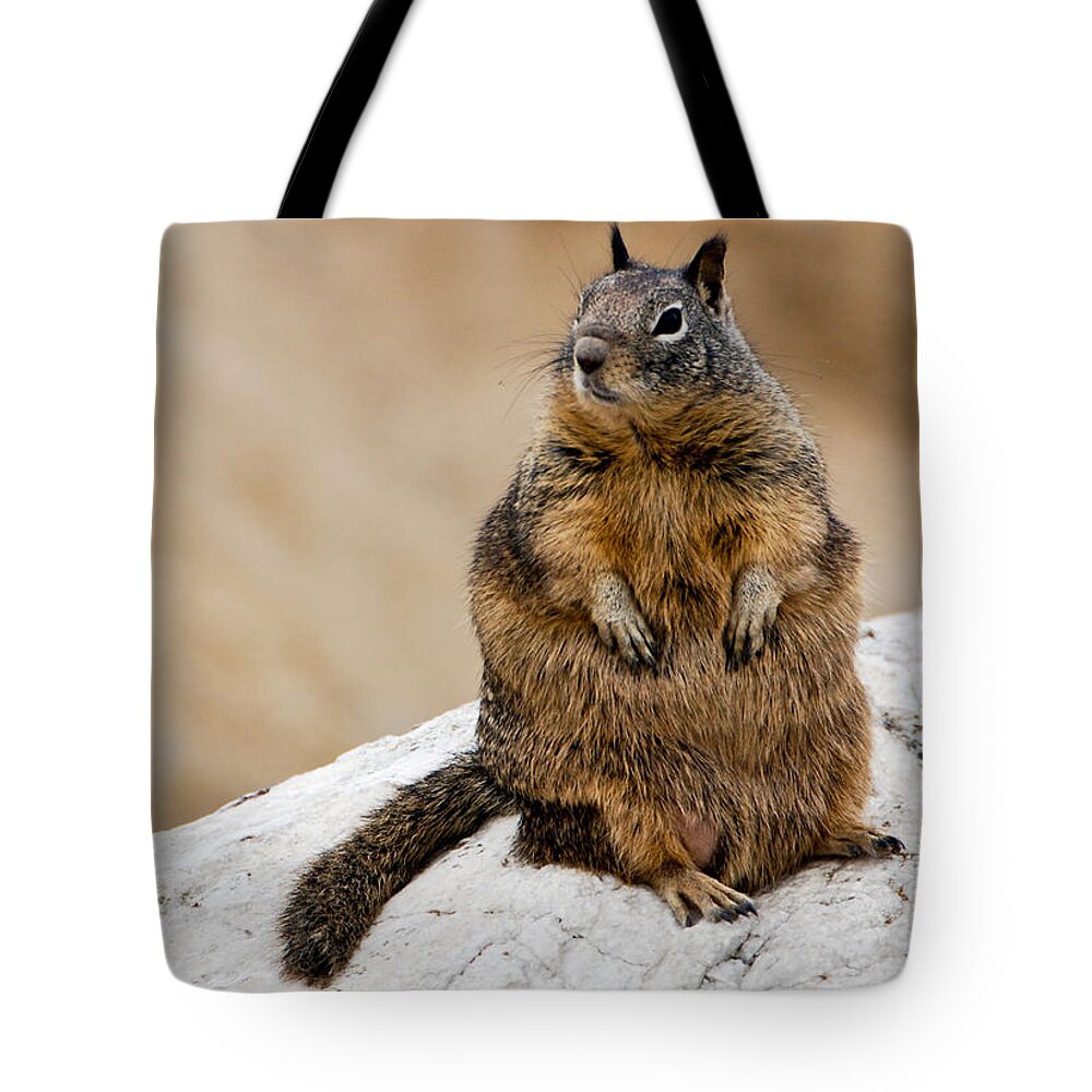 Animal Tote Bag featuring the photograph The Godfather by Shane Kelly