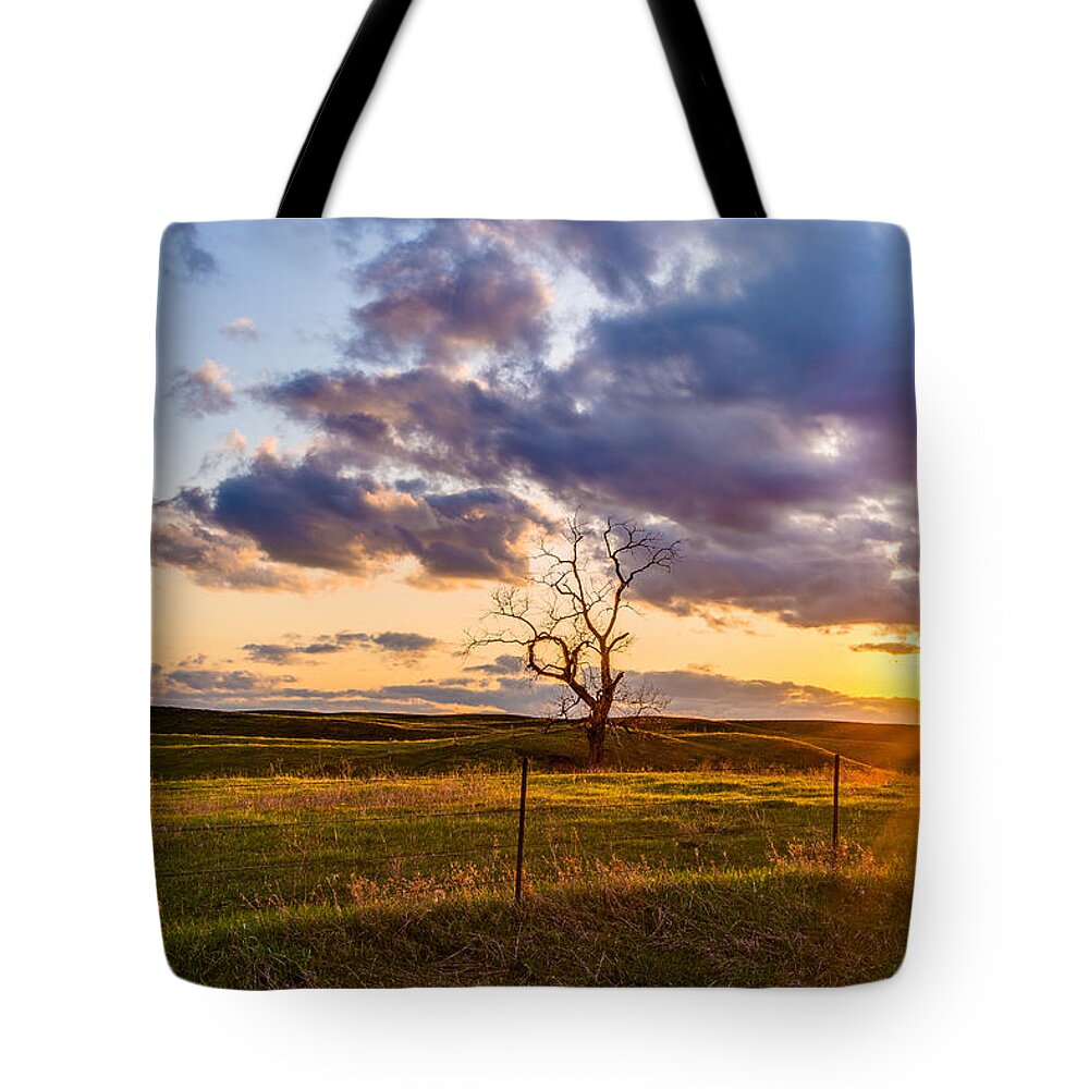 Sunset Sonata Tote Bag featuring the photograph The Golden Hour by Adam Mateo Fierro