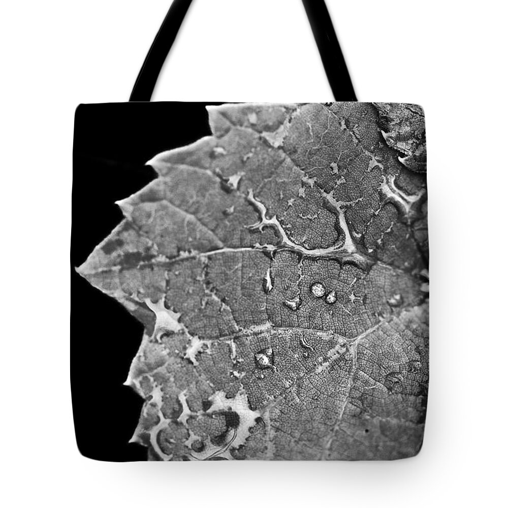 Blumwurks Tote Bag featuring the photograph The Good Cry by Matthew Blum