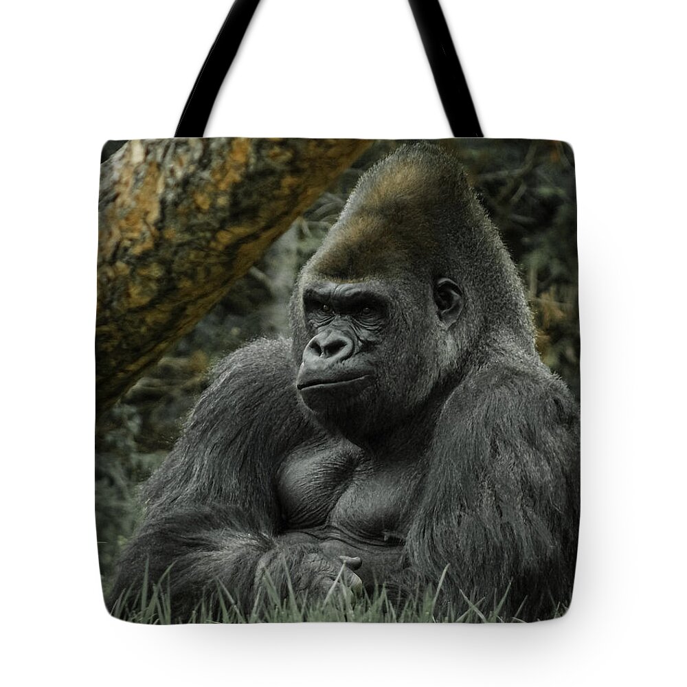 Animals Tote Bag featuring the digital art The Gorilla 3 by Ernest Echols