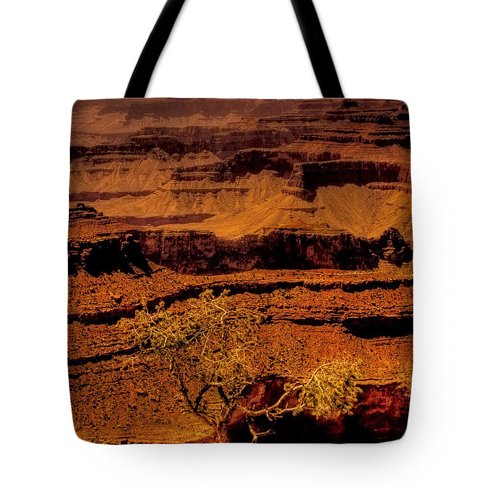 Grand Canyon Tote Bag featuring the photograph The Grand Canyon Vintage Americana VI by David Patterson