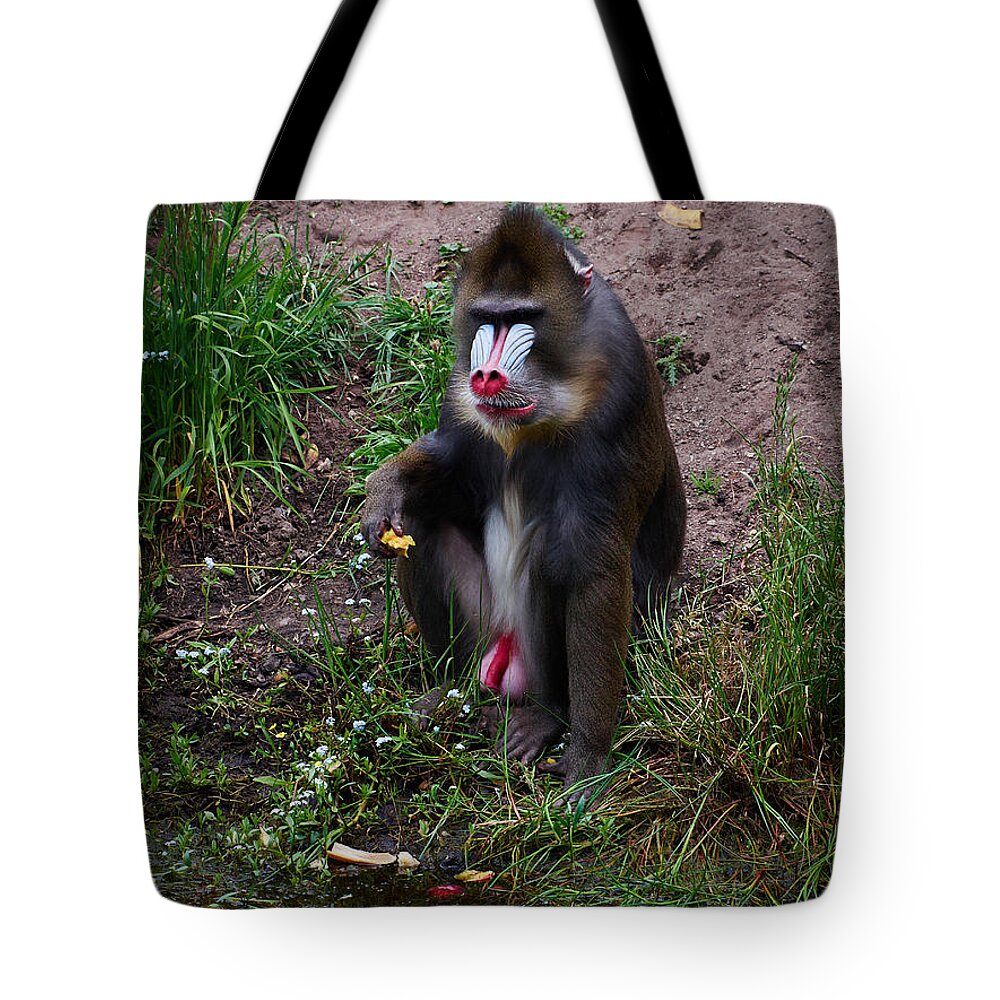 Alankomaat Tote Bag featuring the photograph The Great Balls of Fire with Forget-me-nots by Jouko Lehto