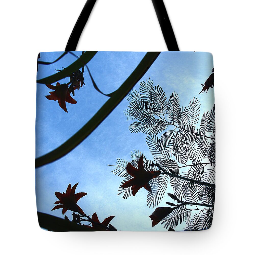Lily Flowers Silhouette Tote Bag featuring the photograph The Ground Up by Michael Eingle