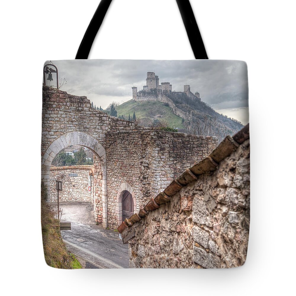 Assisi Tote Bag featuring the photograph The Guardian by W Chris Fooshee