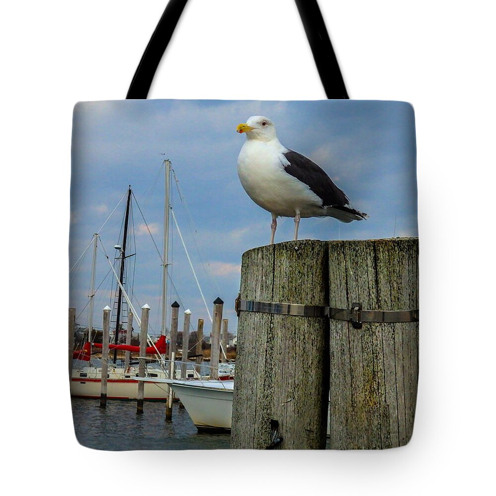Gull Tote Bag featuring the photograph The Harbormaster by Nancy De Flon