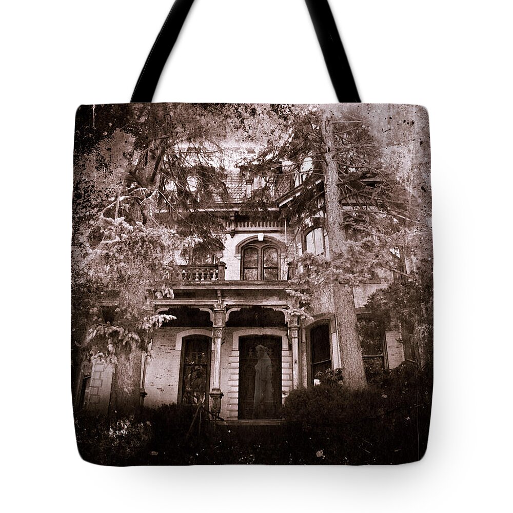 Haunting Tote Bag featuring the photograph The Haunting by David Dehner