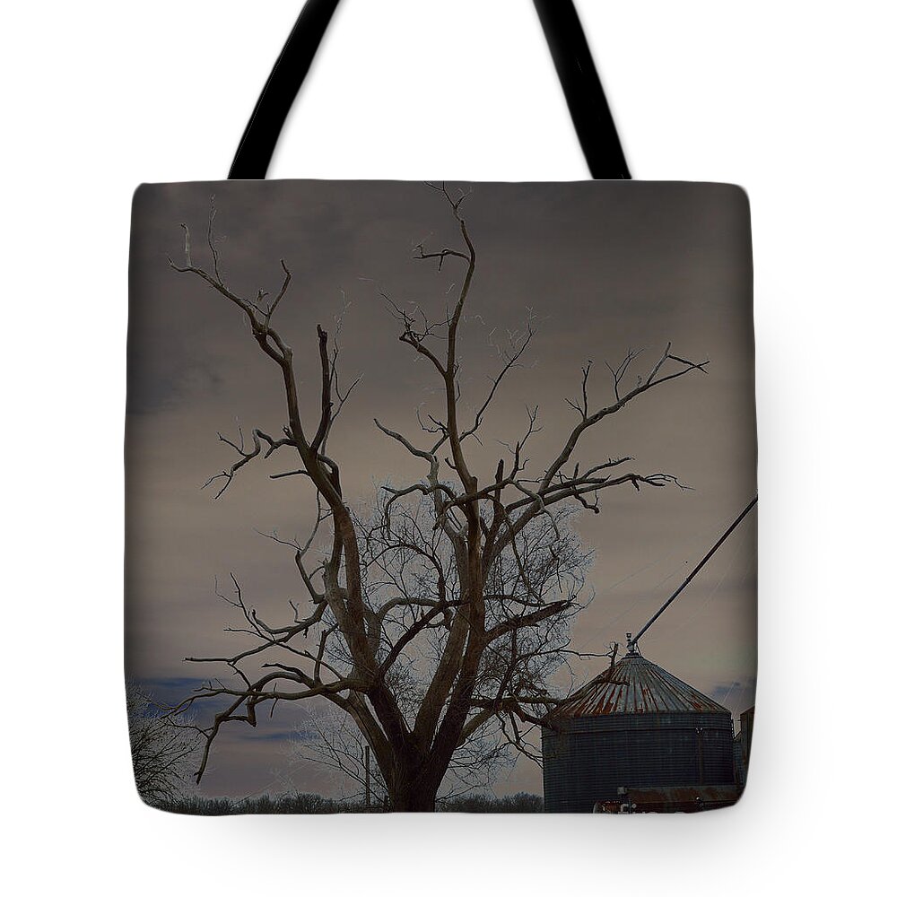 Spooky Tote Bag featuring the photograph The Haunting Tree by Alys Caviness-Gober