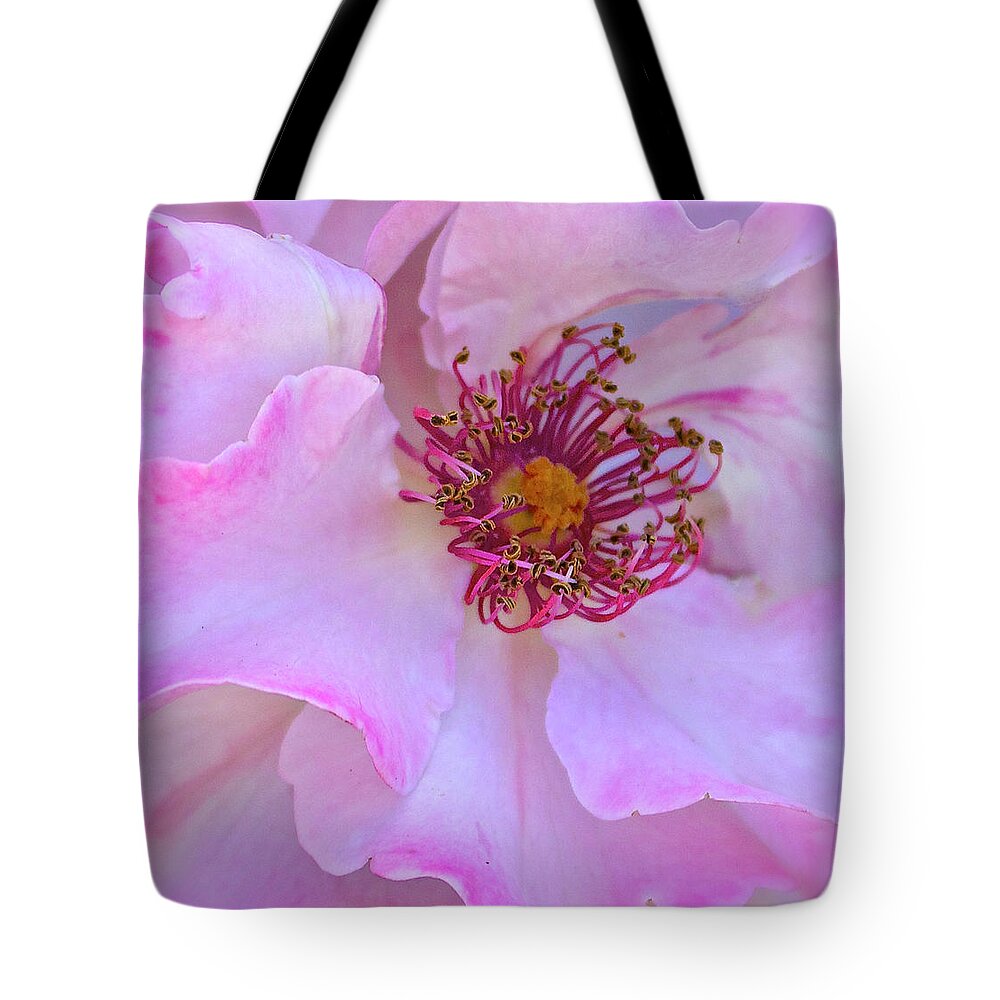 Macro Tote Bag featuring the photograph The Heart of a Rose by Venetia Featherstone-Witty