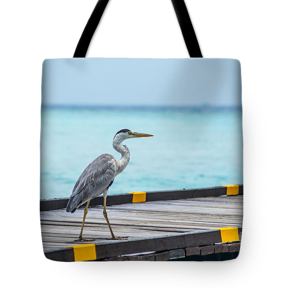 Animal Tote Bag featuring the photograph The Hereon by Hannes Cmarits