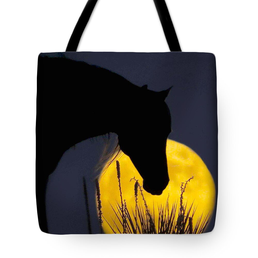 Moon Tote Bag featuring the photograph The Horse in the Moon by Dawn Key