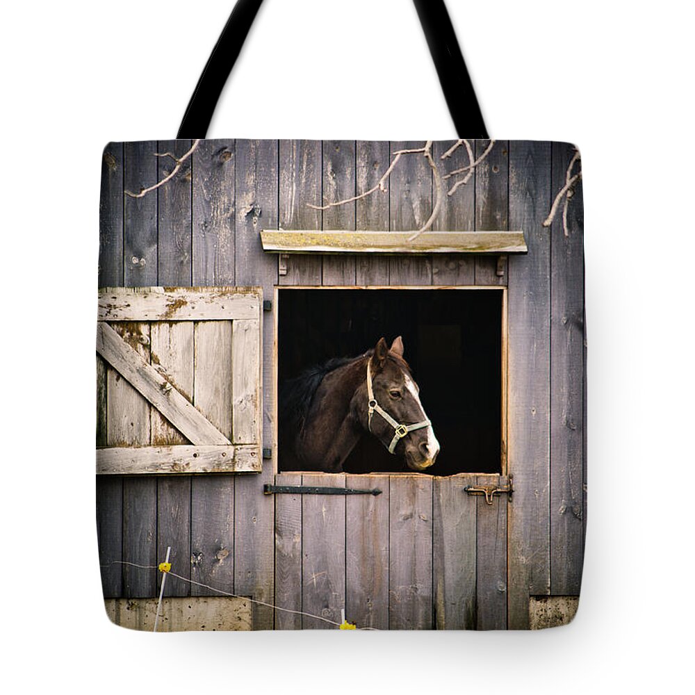 Barn Tote Bag featuring the photograph The Horse by Kristy Creighton
