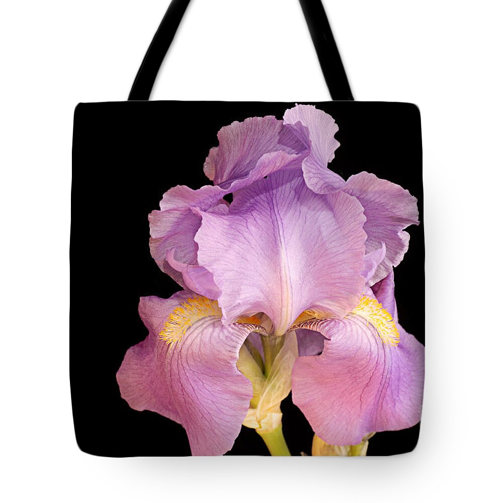 Andee Design Iris Tote Bag featuring the photograph The Iris In All Her Glory by Andee Design