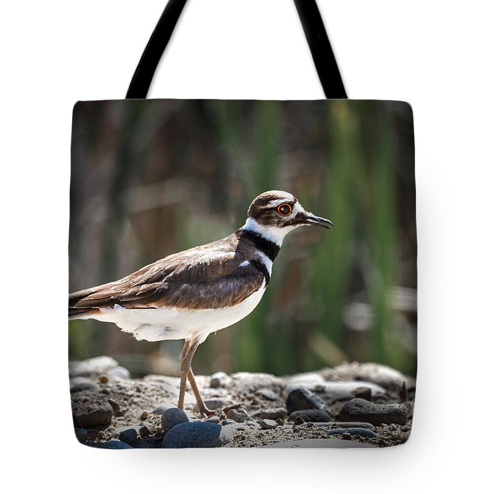 Birds Tote Bag featuring the photograph The Killdeer by Robert Bales