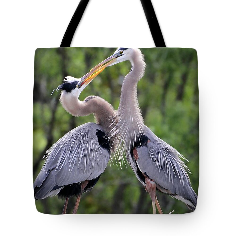 Bird Tote Bag featuring the photograph The Kiss by Sabrina L Ryan