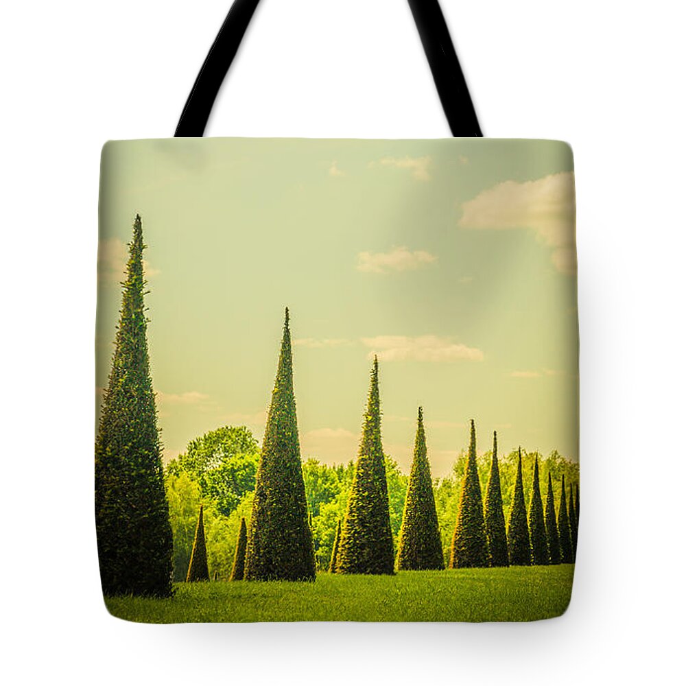20th Centuary Garden Tote Bag featuring the photograph The Knot Garden's Triangular Landscaping by Lenny Carter