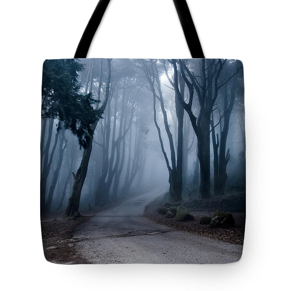 Nature Tote Bag featuring the photograph The last road by Jorge Maia