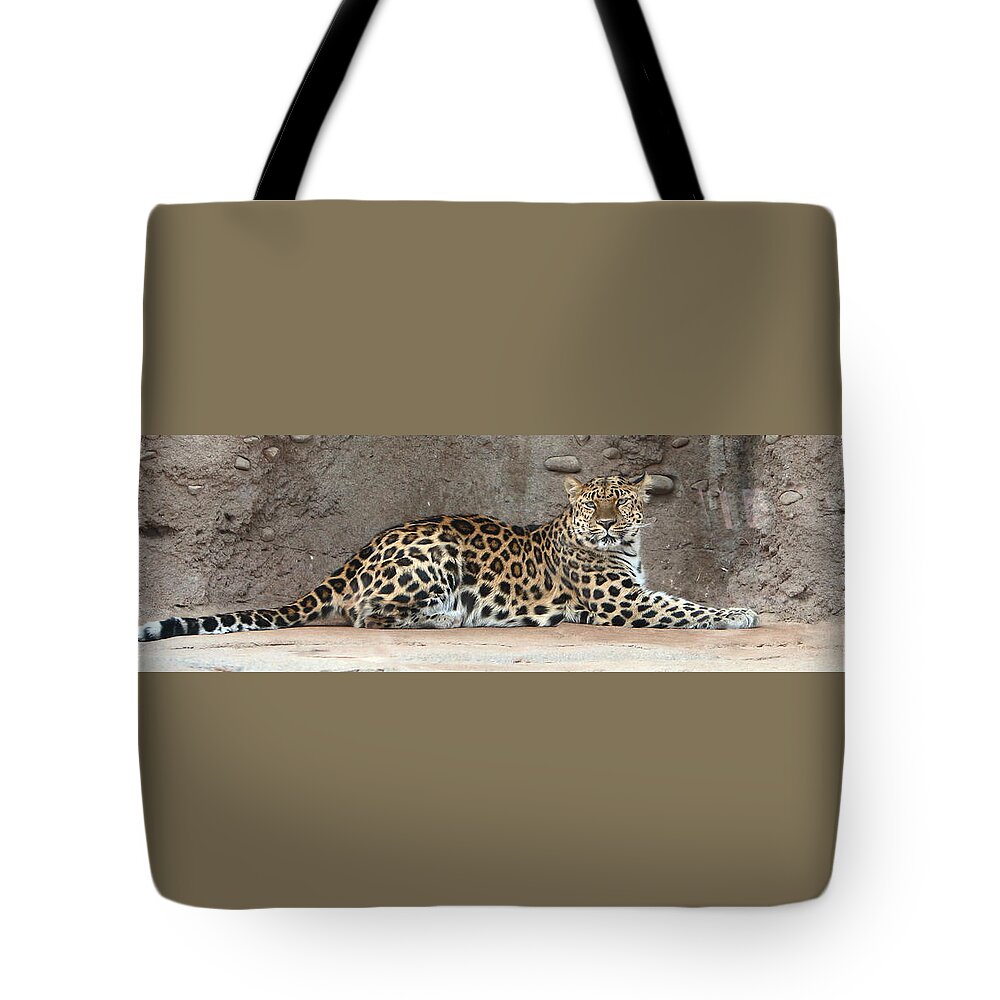 Amur Leapard Tote Bag featuring the photograph The Leopard by David Andersen
