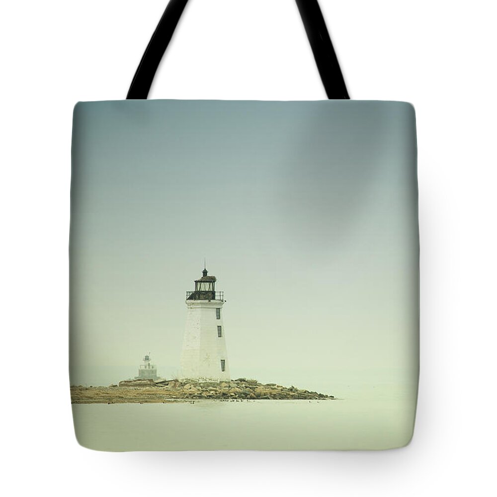 The Light In The Park Tote Bag featuring the photograph The Light In The Park by Karol Livote