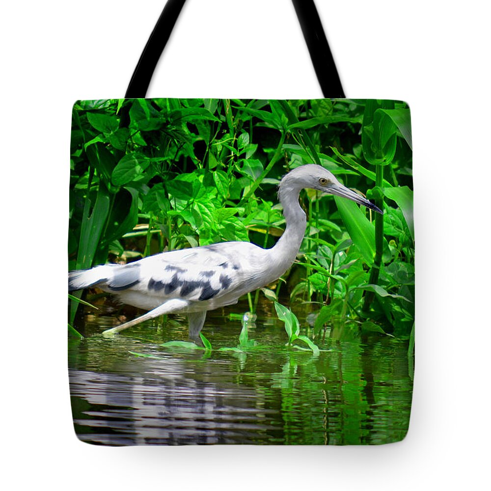 Marsh Tote Bag featuring the photograph The Little Blue Heron by Gary Keesler