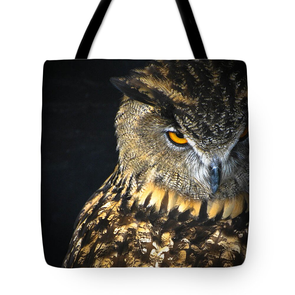 Owl Tote Bag featuring the photograph The Look by Amy Porter