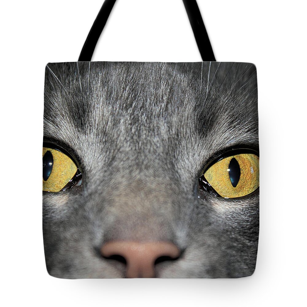 Cat Tote Bag featuring the photograph The Look by Shane Bechler