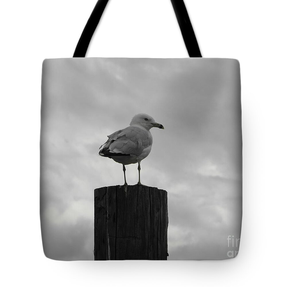 Seagull Tote Bag featuring the photograph The Lookout by Michael Krek