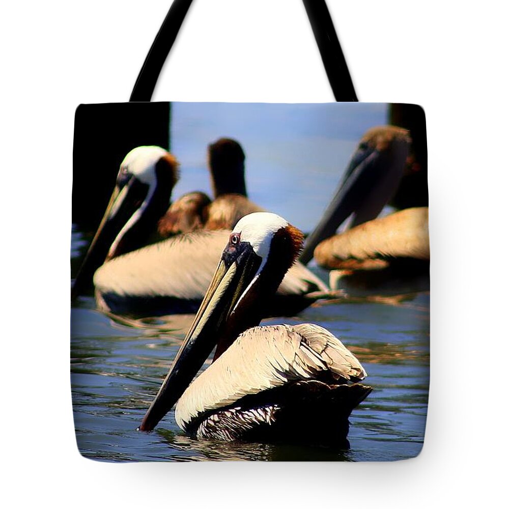 Pelican Tote Bag featuring the photograph The Lovely Pelican by Debra Forand