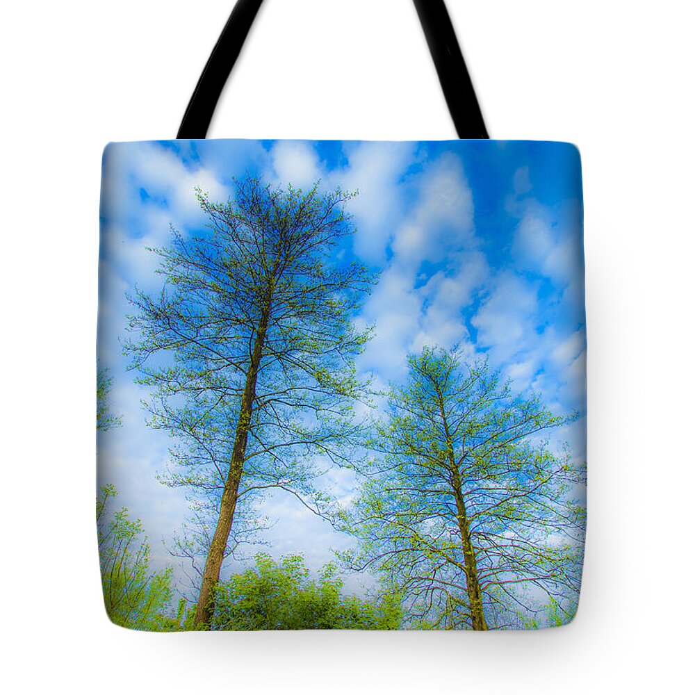 The Magic Forest Tote Bag featuring the photograph The Magic Forest-23 by Casper Cammeraat