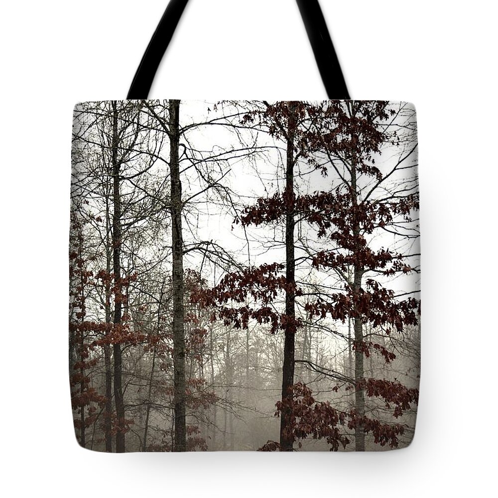 The Mist Tote Bag featuring the photograph The Mist by Maria Urso