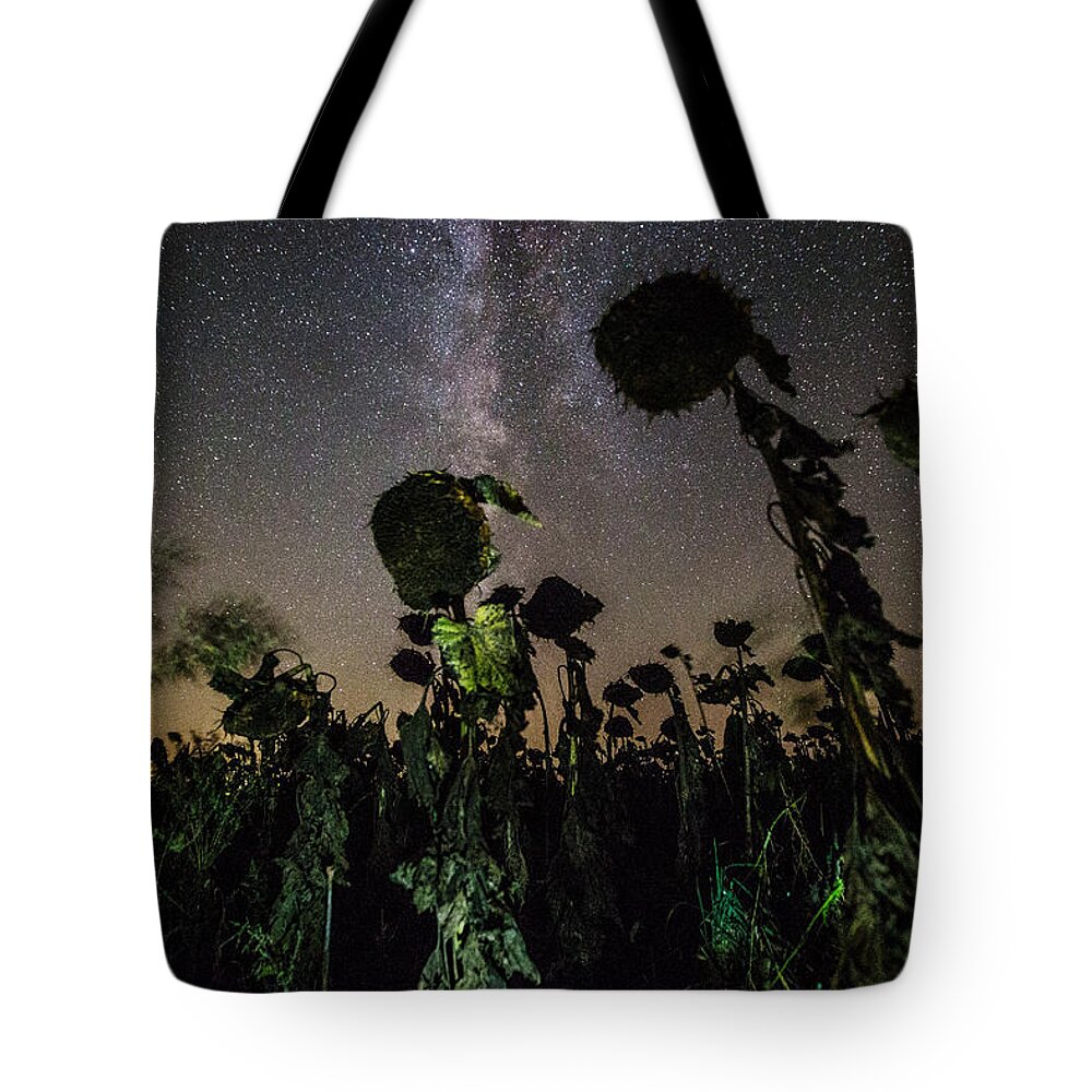 Plants Tote Bag featuring the photograph The Night of the Triffids by Aaron J Groen