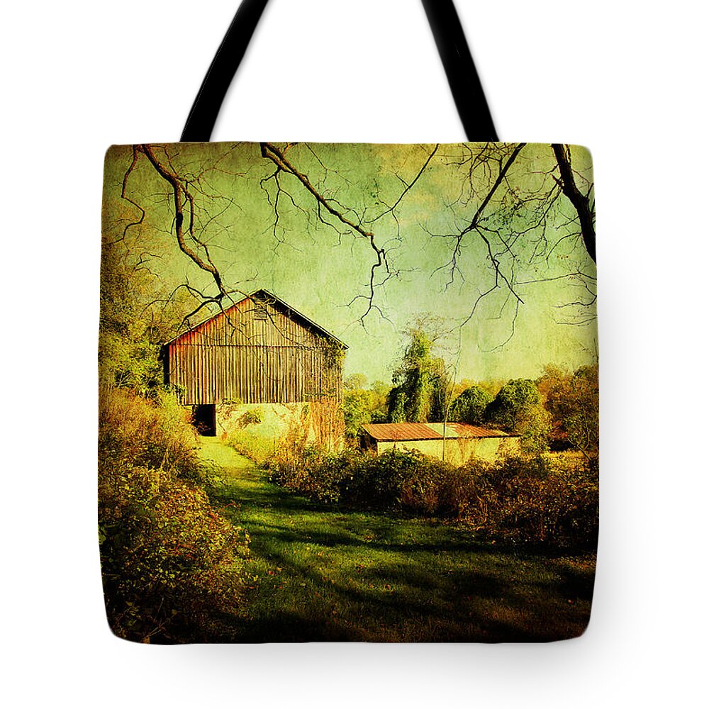 Barn Tote Bag featuring the photograph The Old Barn with Texture by Trina Ansel