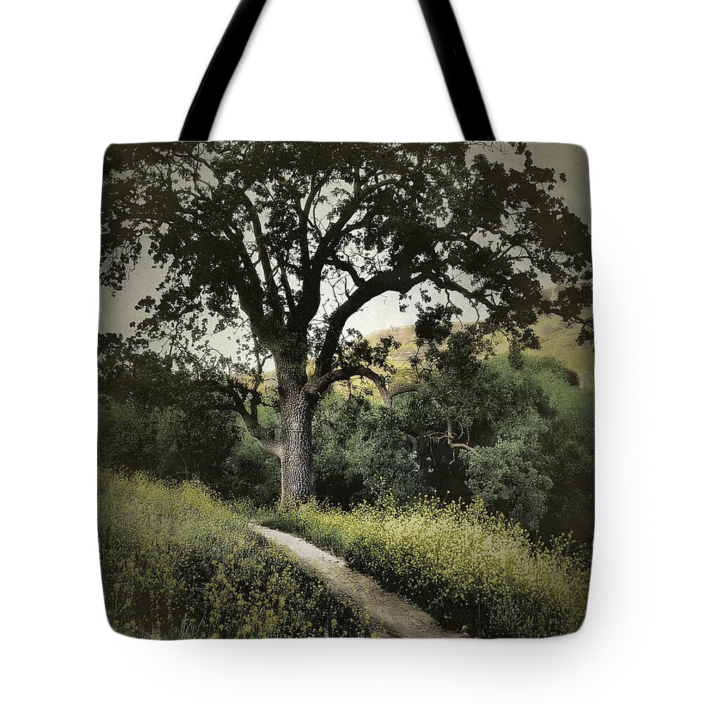 California Tote Bag featuring the photograph The Old Chumash Trail by Parrish Todd