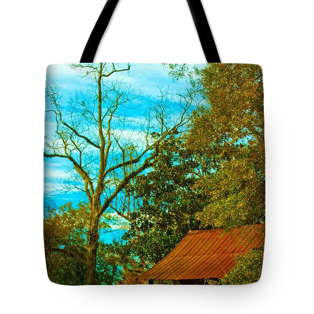 Michael Tidwell Photography Tote Bag featuring the photograph The Old Homestead 2 by Michael Tidwell