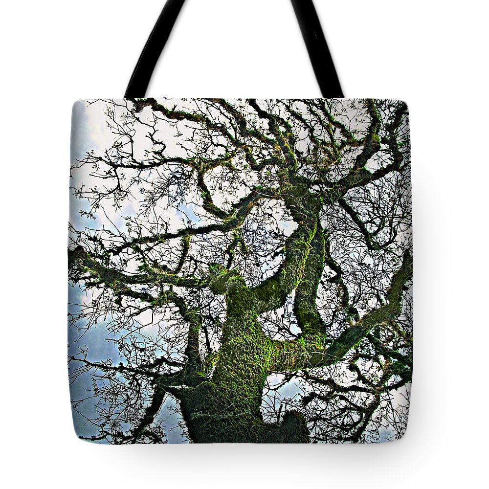Moss Tote Bag featuring the photograph The Old Mossy Oak Tree Against Cloudy Sky by Gabriele Pomykaj