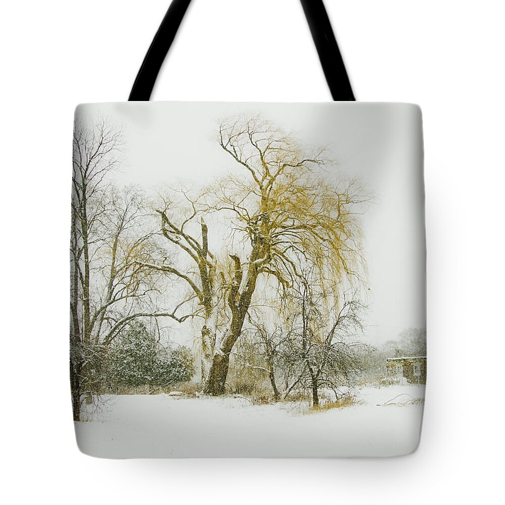 Winter Tote Bag featuring the photograph The Old Shack by John Stuart Webbstock