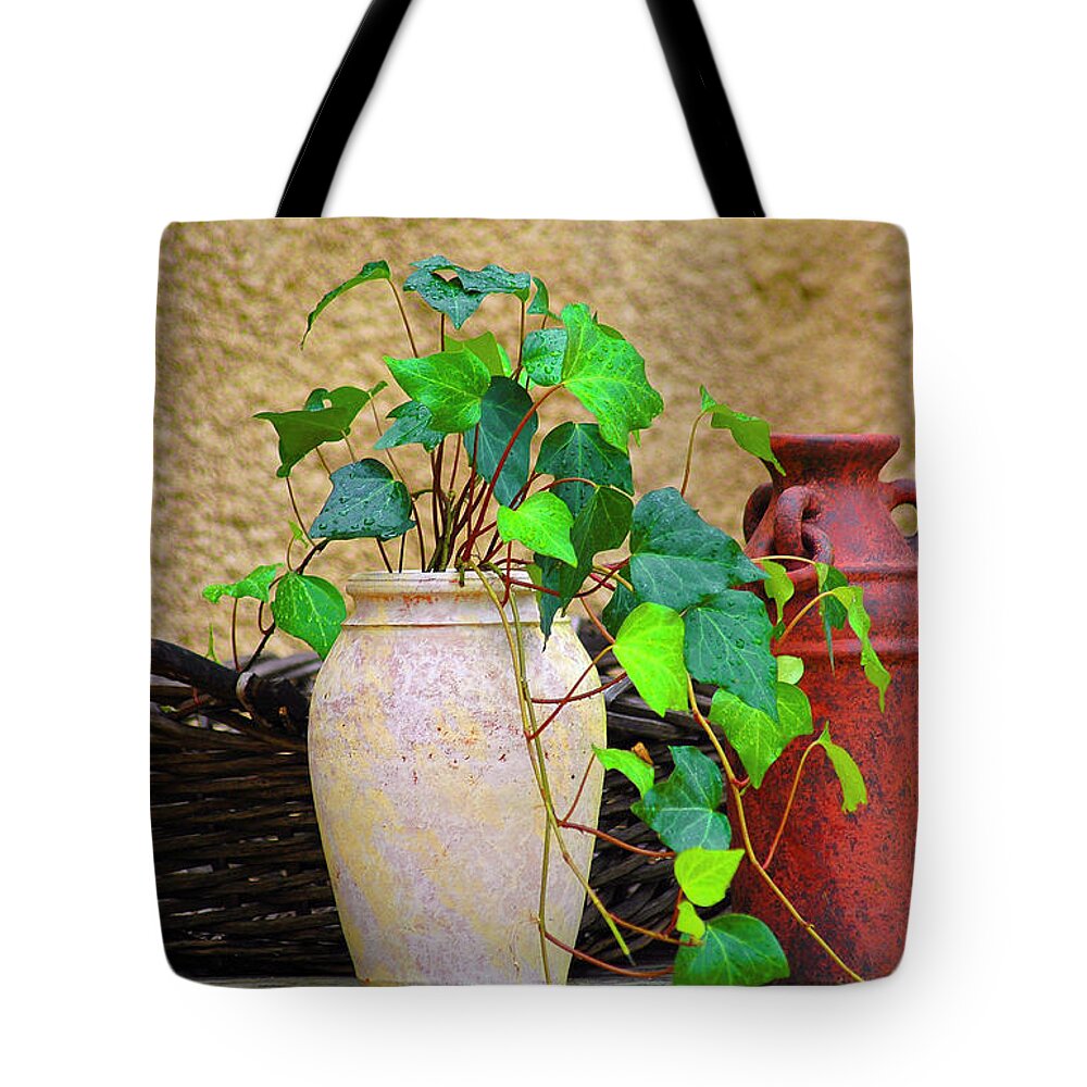Vase Tote Bag featuring the photograph The Old Times by Carolyn Marshall