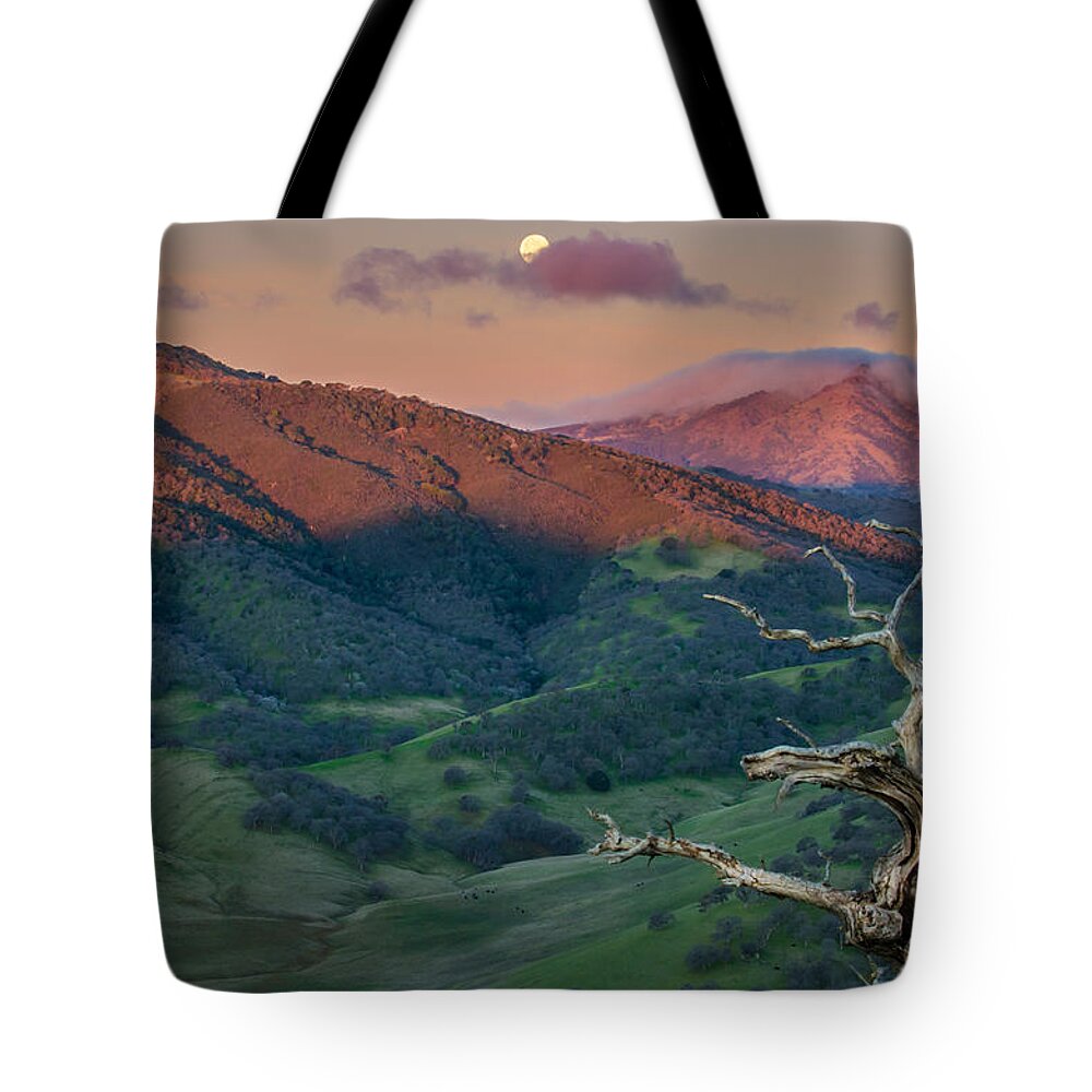 Landscape Tote Bag featuring the photograph The Old Tree And Setting Moon With Mt Diablo by Marc Crumpler