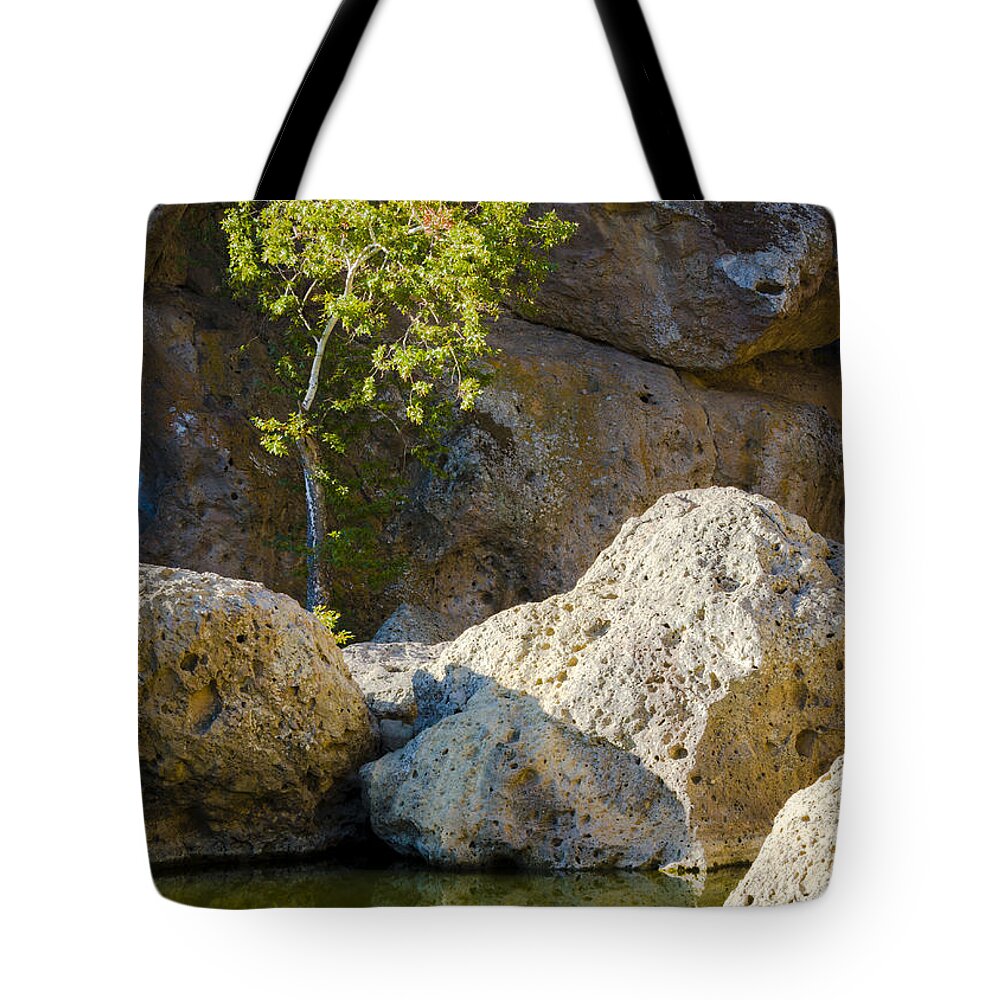 California Tote Bag featuring the photograph The only tree in the neighborhood by Joe Doherty