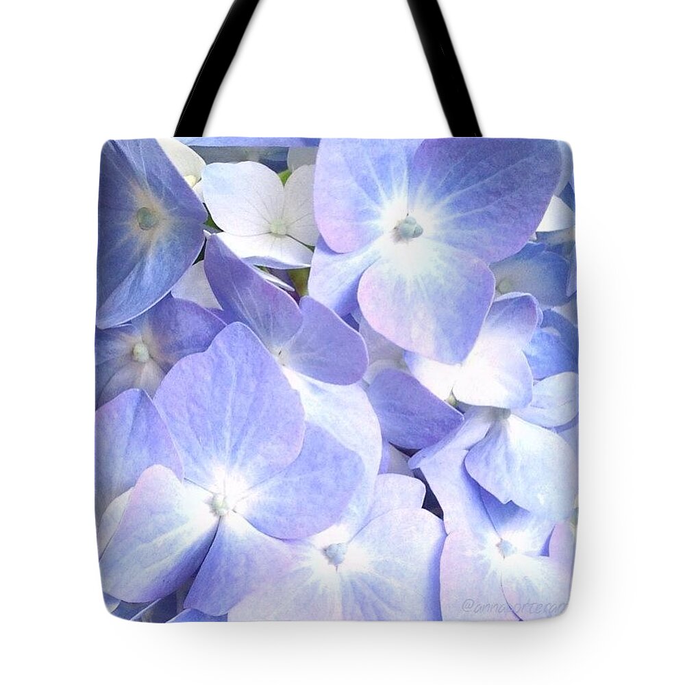 Topfleur Tote Bag featuring the photograph The Pale Blues, #noedit #nofilter by Anna Porter